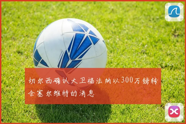 切尔西确认大卫福法纳以300万镑转会塞尔维特的消息