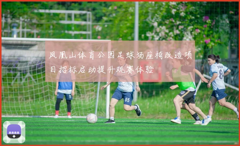 凤凰山体育公园足球场座椅改造项目招标启动提升观赛体验